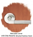 Hercules-Lever-with-Disk-Rosette