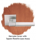 Hercules-Lever-with-Square-Rosette